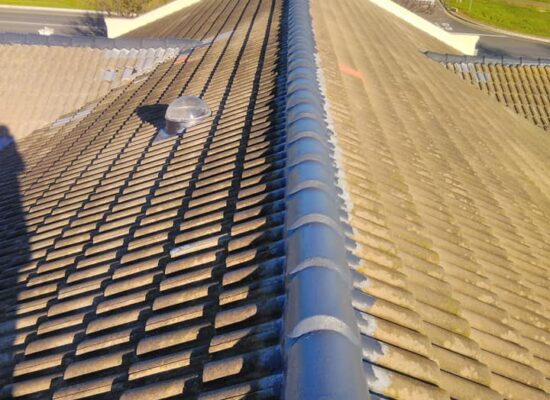 242730101_108706648237031_6420469764916496213_n