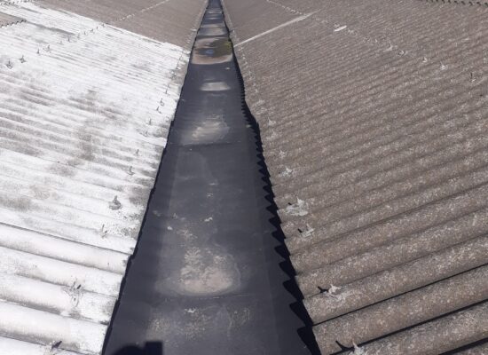 368001291_311841378020845_7466551873939428364_n