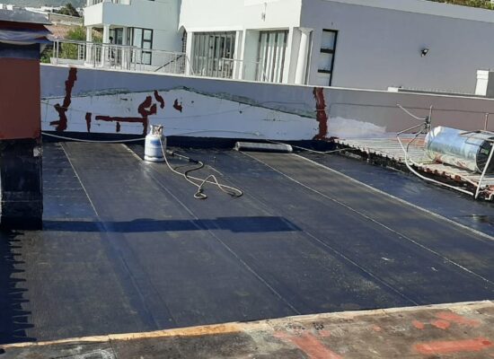 WhatsApp Image 2024-12-02 at 21.12.04